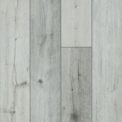 Carpeteria Our Work