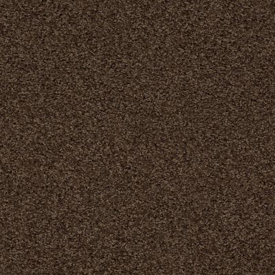 Shop Anderson Tuftex Sfa Kinross Ii Brownstone 00776 20ssf Carpet Carpets By Otto