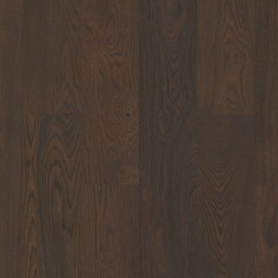 Shaw Floors Shaw Hardwoods Castlewood Oak Arrow 00533_SW485