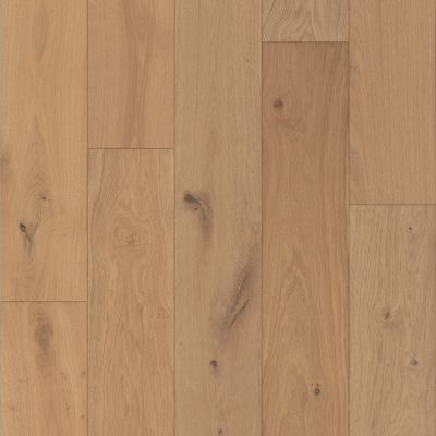 Shaw Floors Shaw Hardwoods Castlewood Oak Dynasty 02047_SW485
