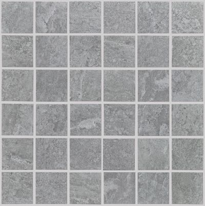 Shaw Floors Ceramic Solutions Arena Mosaic Grey 00500_238TS