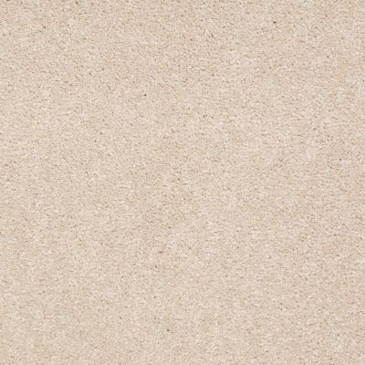 Shaw Floors Toll Brothers HS/Tuftex Gianna Cameo 00146_23ATB