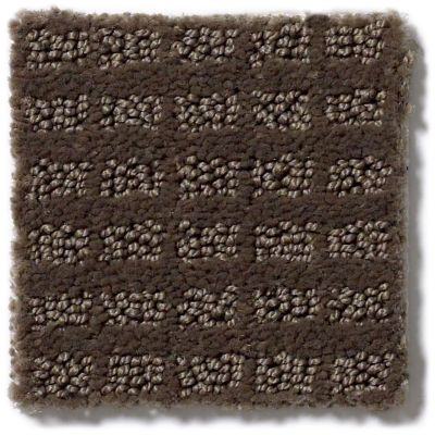 Anderson Tuftex SFA Paint The Town Warm Taupe 23SSF_00758