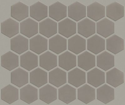 Shaw Floors Ceramic Solutions Coolidge Hex Taupe 00520_240TS