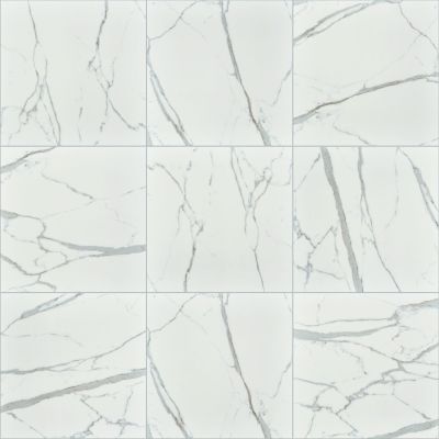 Shaw Floors Ceramic Solutions Universe 13×13 Carrara 00150_249TS