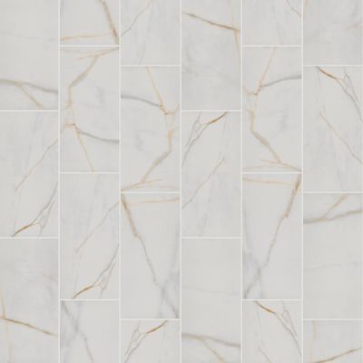Shaw Floors Ceramic Solutions Universe 12×24 Marquant 00121_251TS