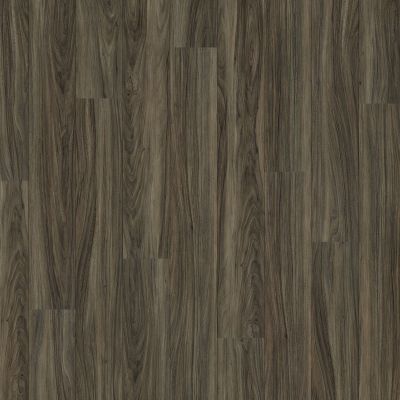 Shaw Floors Resilient Residential Valore Plus Plank Costa 00150_2545V
