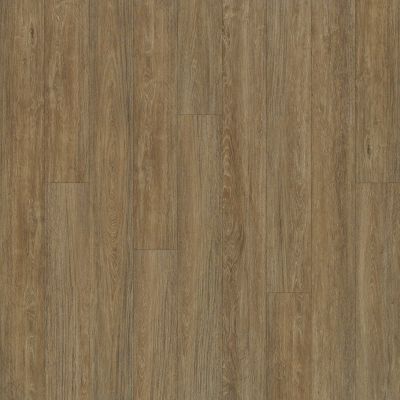 Resilient Residential Alto Plus Plank Shaw Floors  Marmolada 00782_2576V