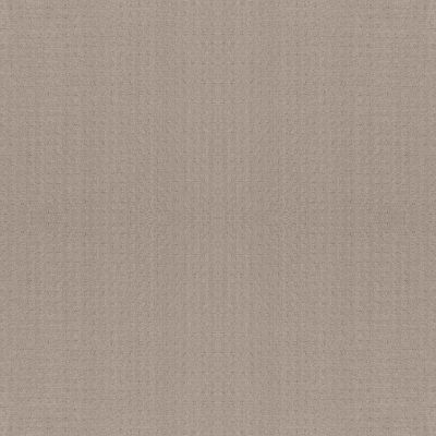 Anderson Tuftex Nfa Spring Glory Bit Of Gray 00552_263NF