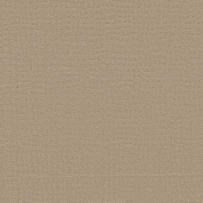 Anderson Tuftex Nfa Spring Bay Terrazo 00114_264NF