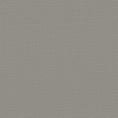 Anderson Tuftex Nfa Spring Bay Silver Fox 00541_264NF