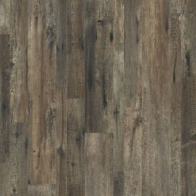 Shaw Floors Resilient Residential Alto Mix Plus Calabria Pine 00738_2662V