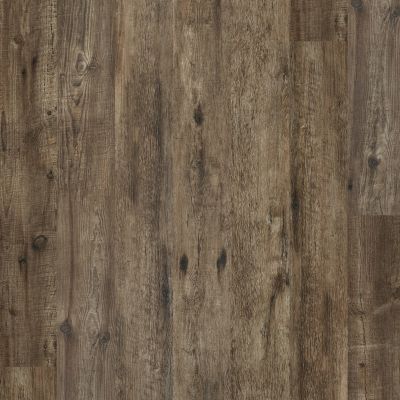 Shaw Floors Resilient Residential Alto HD Plus Novara 00136_2731V