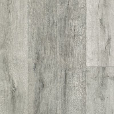 Shaw Floors Resilient Residential Alto HD Plus Tortona 00156_2731V