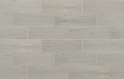 Shaw Floors Ceramic Solutions Regent 7×22 Silver 00550_290TS