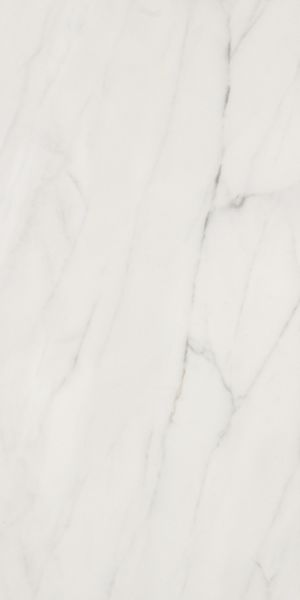 Shaw Floors Ceramic Solutions Maximus 12×24 Carrara 00150_CS16M