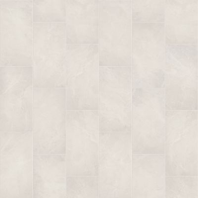 Shaw Floors Ceramic Solutions Idyllic 12×24 Halcyon 00100_521TS