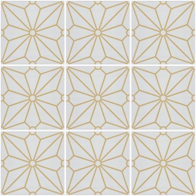 Shaw Floors Ceramic Solutions Cosmos 8×8 Apollo 00210_438TS