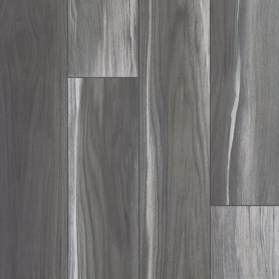 Resilient Residential Tenacious Hd+ Accent Shaw Floors  Shadow 00921_3011V