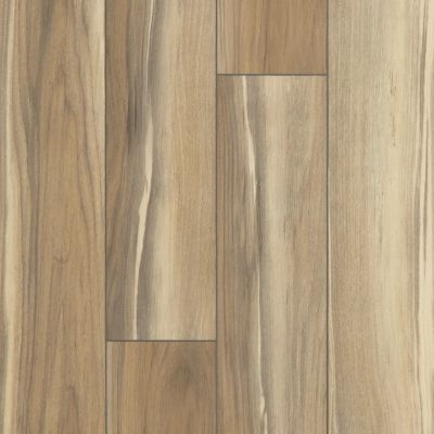 Shaw Floors Resilient Residential Tenacious Hd+ Accent Sunbaked 02010_3011V