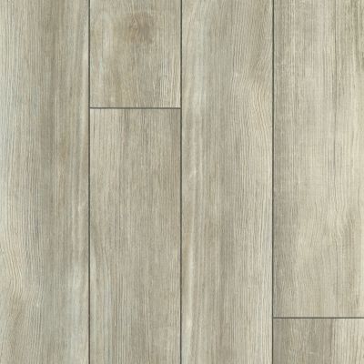 Shaw Floors Resilient Residential Tenacious Hd+ Accent Spanish Moss 05089_3011V