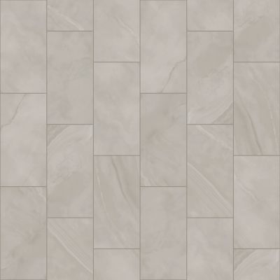 Shaw Floors Ceramic Solutions Prime Aura 12×24 Matte Onyx Crystallo 00110_497TS