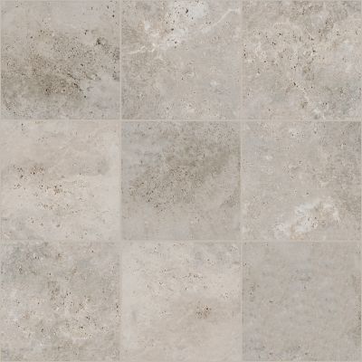 Shaw Floors Ceramic Solutions Basanite Legacy 16×16 Slip-resistant Grey 00500_508TS