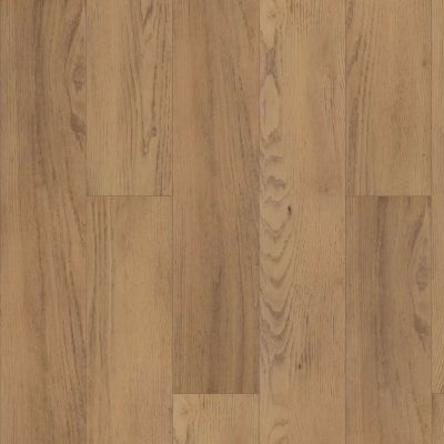 Shaw Floors Resilient Residential Paragon Hd+natural Bevel Franklin 06021_3038V