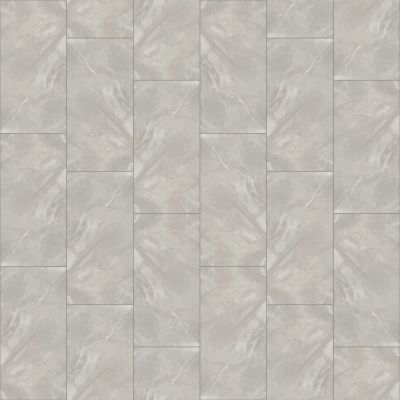 Shaw Floors Ceramic Solutions Prime Aura 24×48 Matte Onyx Crystallo 00110_524TS