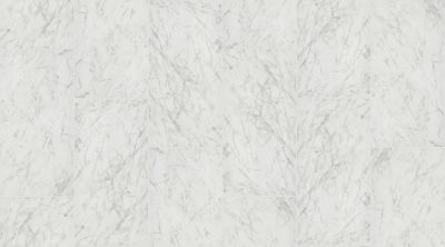 Shaw Floors Ceramic Solutions Prime Aura 24×48 Polished Carrara Abisso 00111_525TS
