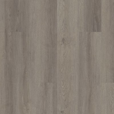 Shaw Floors Resilient Residential Infinite Spc Drift 05100_3100V