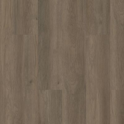 Shaw Floors Resilient Residential Infinite Spc Raconteur 07195_3100V