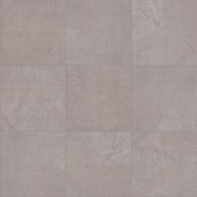 Shaw Floors Ceramic Solutions Pacific Ridge 18 Grey 00500_553TS