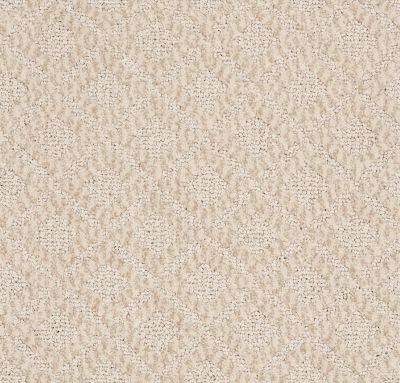 Shop Anderson Tuftex Sfa Modified Simplify 00161 31ssf Carpet Carpets By Otto