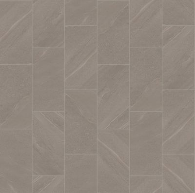 Shaw Floors Ceramic Solutions Lithoscape 12×24 Silver 00500_618TS