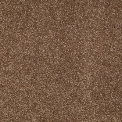Shaw Floors Toll Brothers HS/Tuftex Edison 15′ Pine Cone 00703_32ATB
