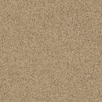 Shaw Floors Richmond American Homes Shelton Woods Oatmeal 00125_334RA