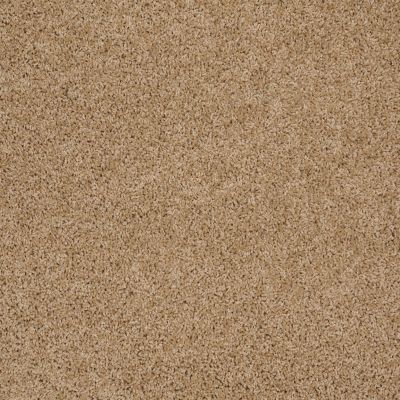 Shaw Floors Richmond American Homes Shelton Woods Popcorn 00221_334RA