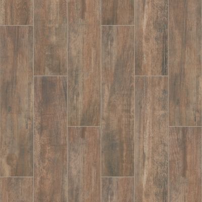 Shaw Floors Ceramic Solutions OLYMPIA 8X36 Brown 00700_CS71W