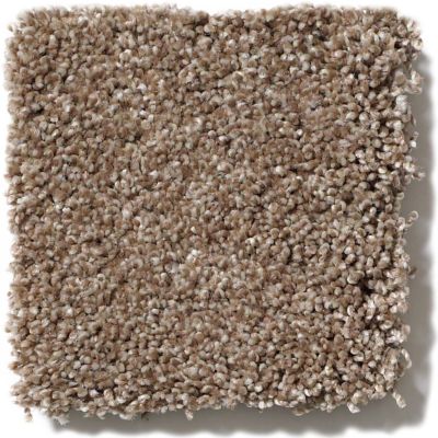 Anderson Tuftex SFA Blitz Utterly Beige 33SSF_00763