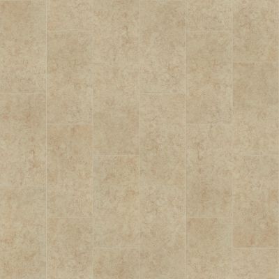 Shaw Floors Ceramic Solutions Empire 12×24 (8.5mm) Cafe 00700_345TS