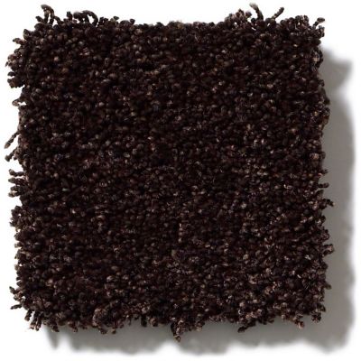 Anderson Tuftex SFA Bolero Coffee 34SSF_00668