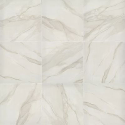 Shaw Floors Ceramic Solutions SERENE 24X24 MATTE Bianco Covelano 00150_357TS