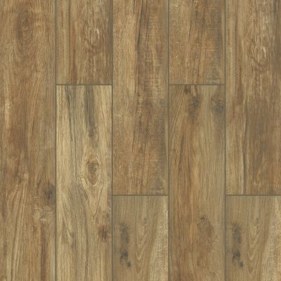 Shaw Floors Ceramic Solutions SAVANNAH 8X48 Honey 00200_CS32V