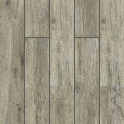 Shaw Floors Ceramic Solutions SAVANNAH 8X48 Silver 00500_CS32V