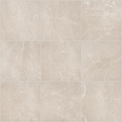 Shaw Floors Ceramic Solutions Venture 24×24 Renew 00175_405TS