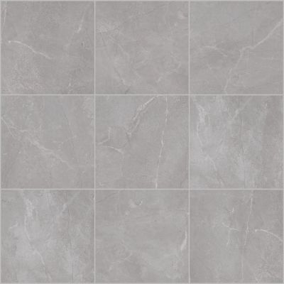 Shaw Floors Ceramic Solutions Venture 24×24 Intuition 00500_405TS