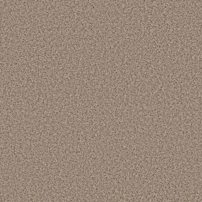 Shaw Floors Basic Mix 13.7 Sunkissed 0104T_372SE