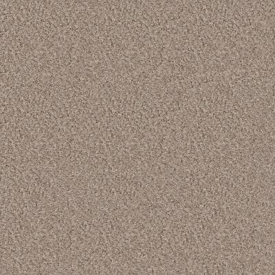 Shaw Floors Basic Mix 15.3 Baltic Stone 0102T_373SE