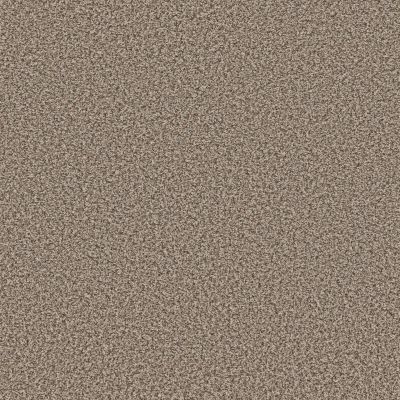 Shaw Floors Basic Mix 15.3 Beach Pebble 0110B_373SE